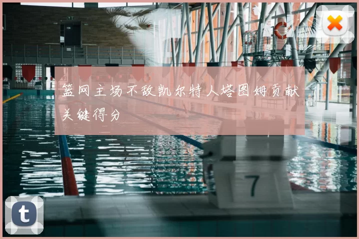 篮网主场不敌凯尔特人塔图姆贡献关键得分