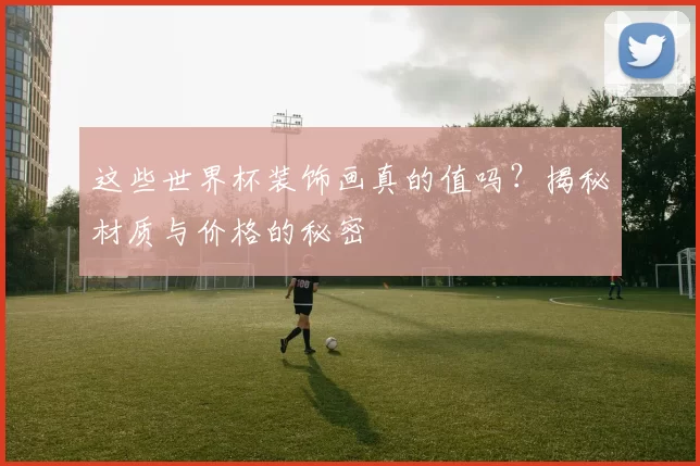 这些世界杯装饰画真的值吗?揭秘材质与价格的秘密