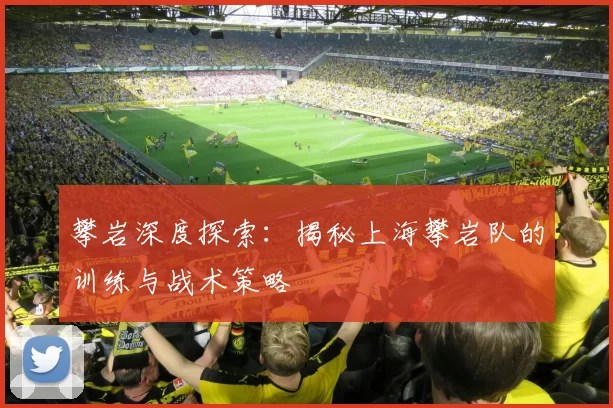 攀岩深度探索:揭秘上海攀岩队的训练与战术策略