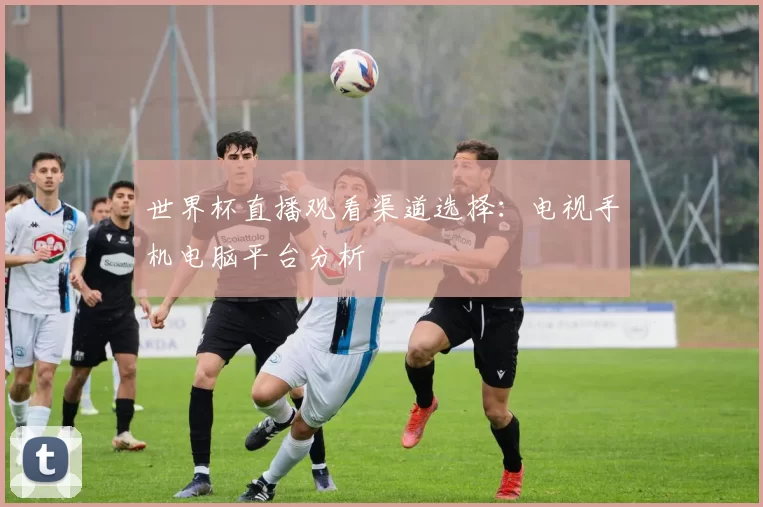 世界杯直播观看渠道选择:电视手机电脑平台分析