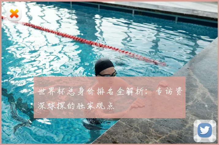 世界杯总身价排名全解析:专访资深球探的独家观点