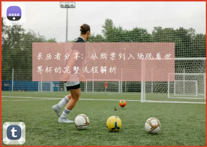 亲历者分享:从购票到入场观看世界杯的完整流程解析