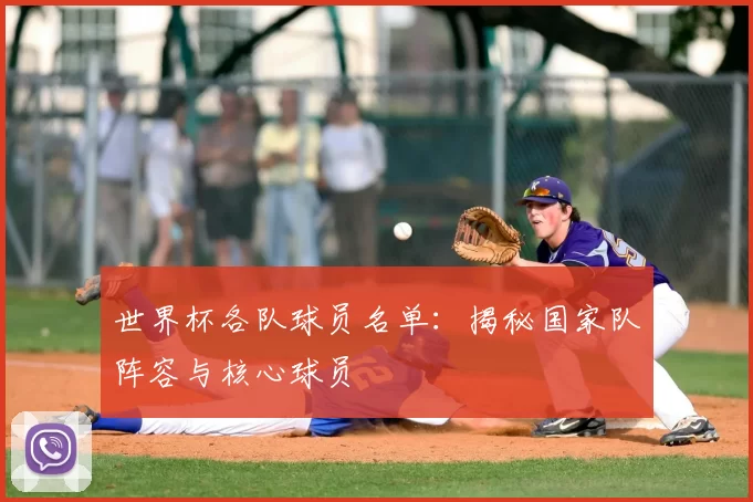 世界杯各队球员名单:揭秘国家队阵容与核心球员