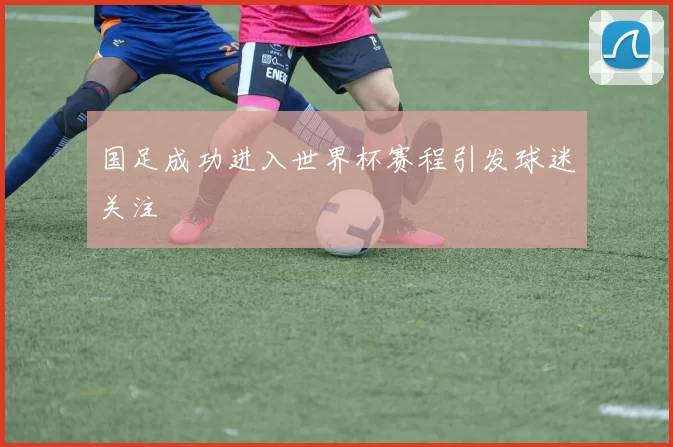 国足成功进入世界杯赛程引发球迷关注