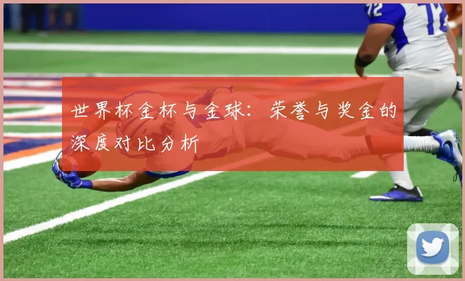 世界杯金杯与金球:荣誉与奖金的深度对比分析
